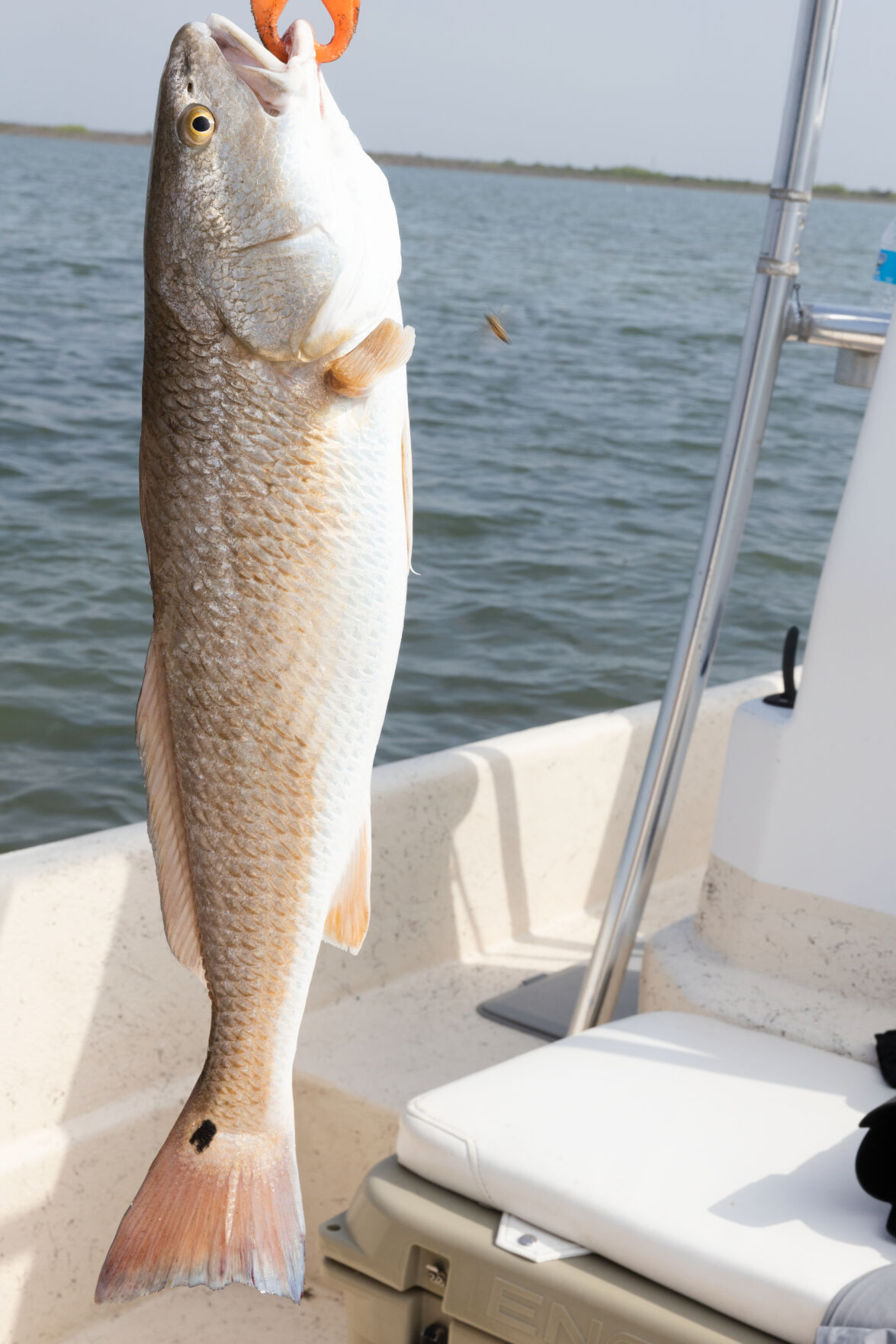 POC fishing